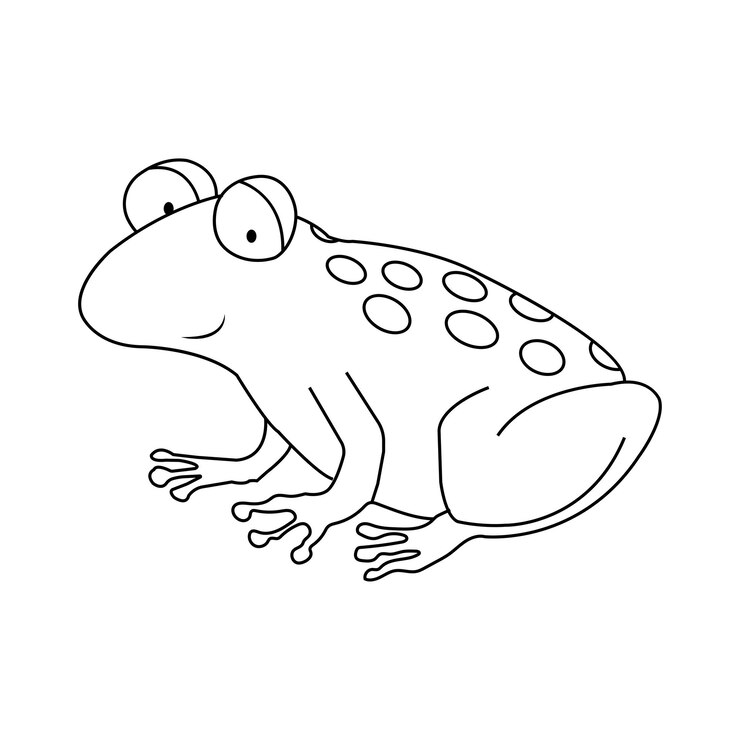 Premium Vector | Frog coloring page
