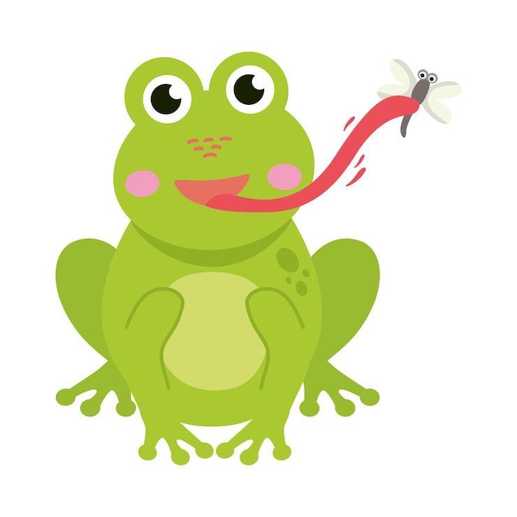 Vector frog eating fly illustration
