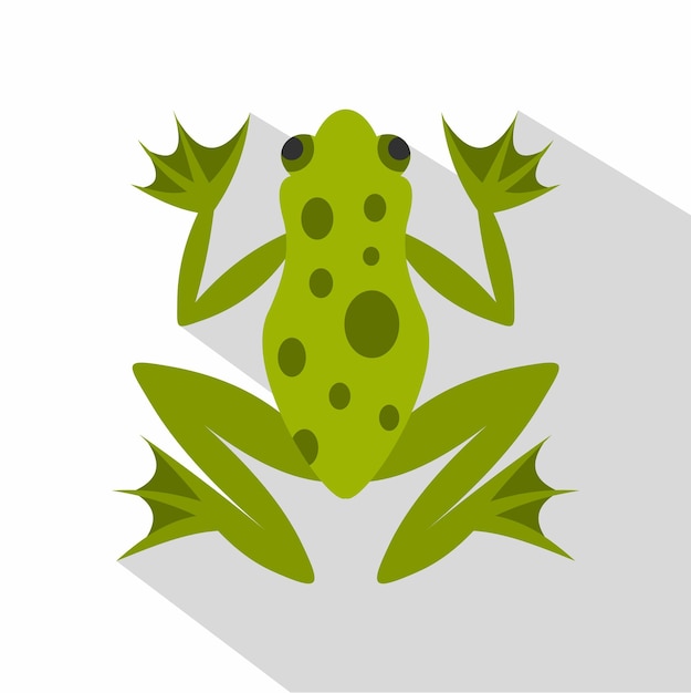 Frog icon Flat illustration of frog vector icon for web