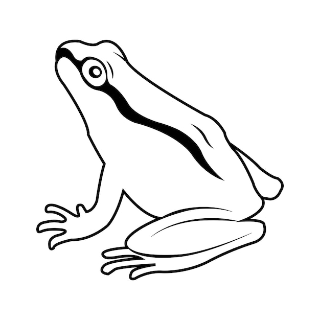 Frog icon logo vector design template