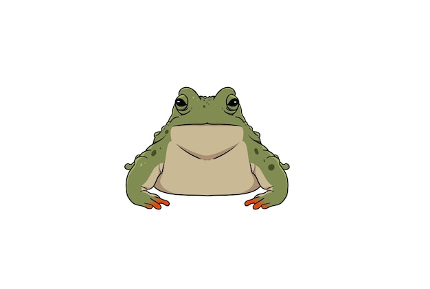 Frog illustration art exotic wild animal