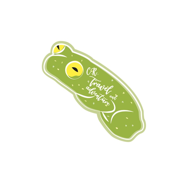 Frog illustration Glass frog