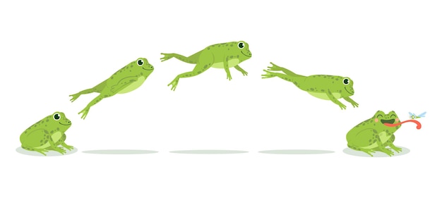 Vector frog jump. various frog jumping animation sequence, jump green toad keyframes, funny water animals hunting insects, cartoon vector set.