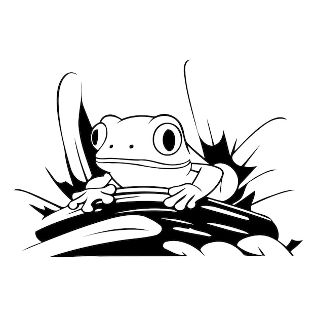 Frog on a leaf Vector illustration of a cartoon frog