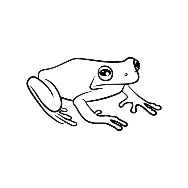 Frog line art drawing illustration