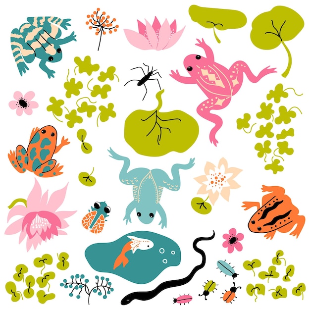 Vector frog set. vector bundle with snake, water striders, fly, beetles,  leaves, flowers, lotus, water lillies, waves.