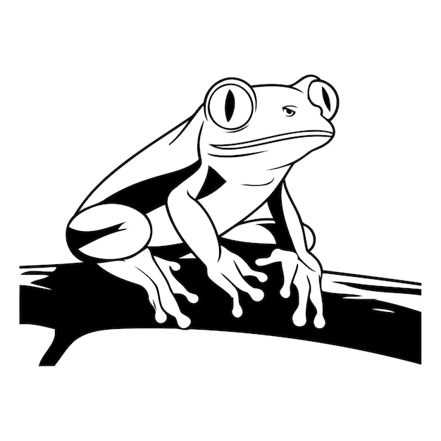 Frog on a tree branch Vector illustration isolated on white background