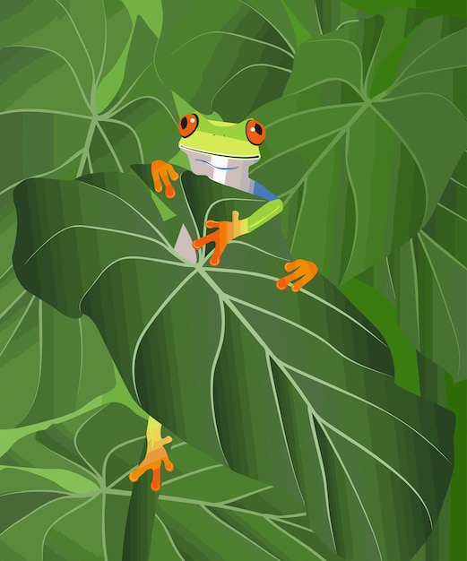 Vector frog tree frog leaves vector graphic