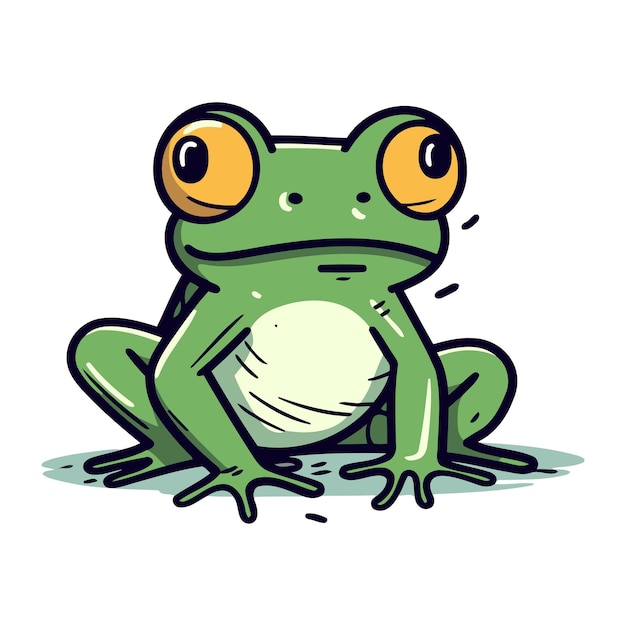 Vector frog vector illustration of a cartoon frog on a white background