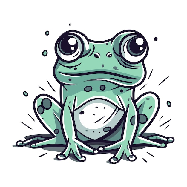 Vector frog vector illustration isolated on a white background