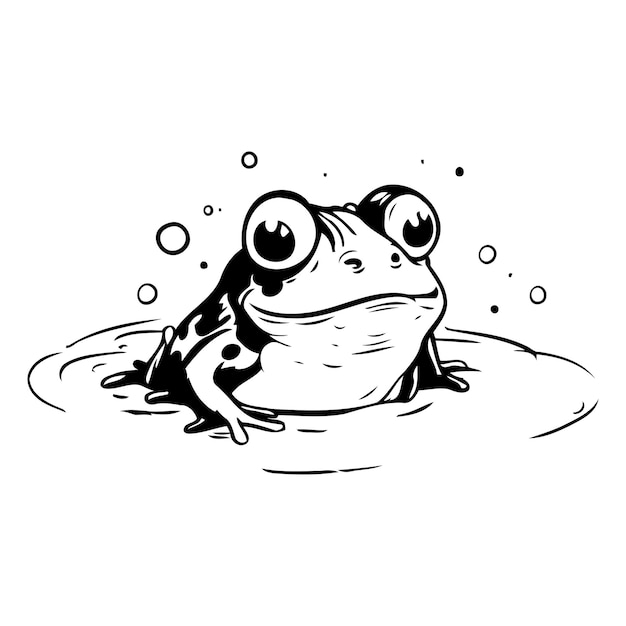 Frog in water Vector illustration of a frog in water