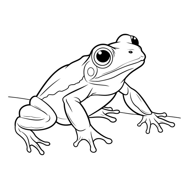 Vector frog on a white background eps 10