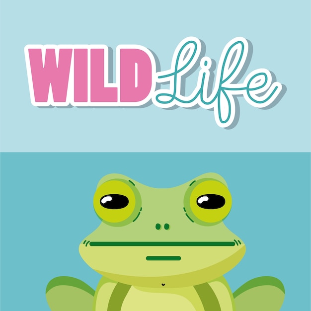 Frog wildlife animal cute cartoon 