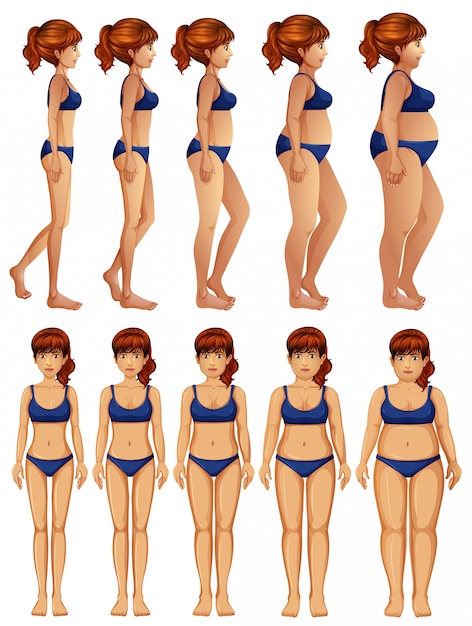 Vector front and side of woman body transformation