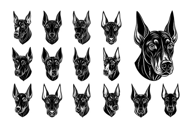 Vector front view of dobermann dog face head design vector set