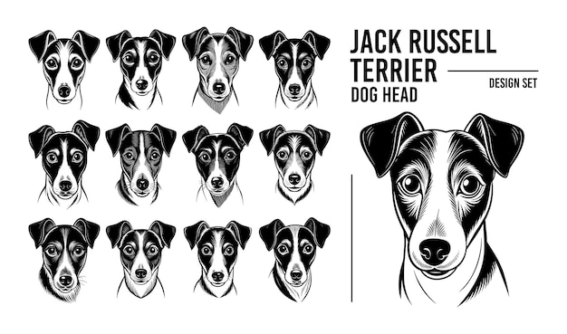 Front view jack russell terrier hond gezicht vector ontwerp set