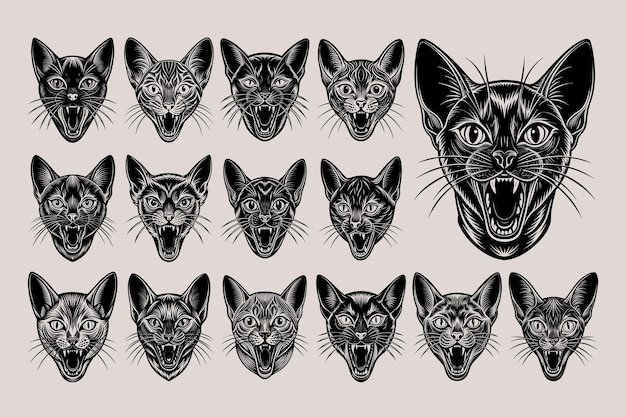 Front view of meowing korat cat head tshirt design bundle