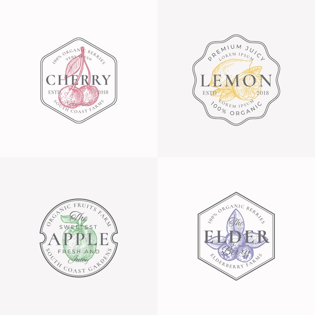 Значки фруктов и ягод или шаблоны логотипов.