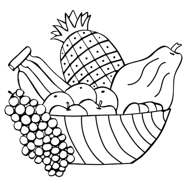 Vector fruit basket coloring page for kids vector illustration eps and image