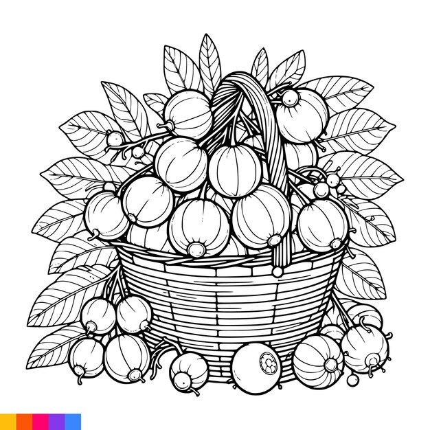 Vector fruit basket line art illustration for the coloring book fruits coloring page vector graphics