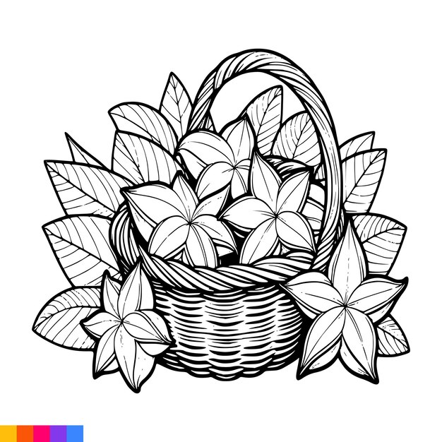 Vector fruit basket line art illustration for the coloring book fruits coloring page vector graphics