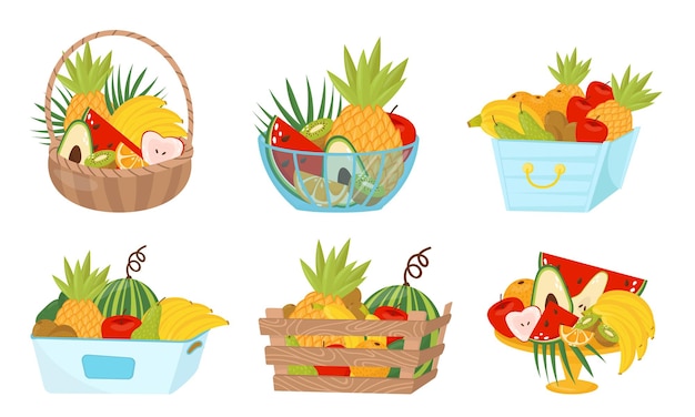 Fruit basket wealth vector illustrated set on white background bright packed in box and basket food healthy items concept