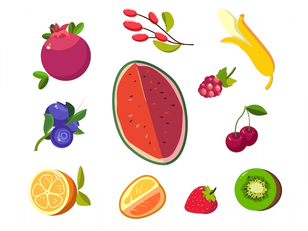 Vector fruit and berries icons