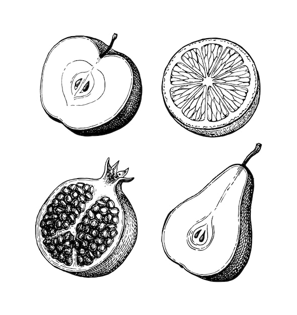 Fruit collectie. Vintage stijl inkttekening.