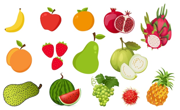 Vector fruit collection in flat hand drawn style illustrations