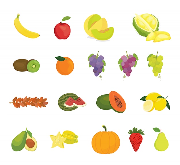 Vector fruit collection with various kind of fruits