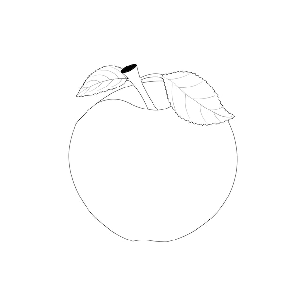 Fruit coloring page apple hand drawn line art
