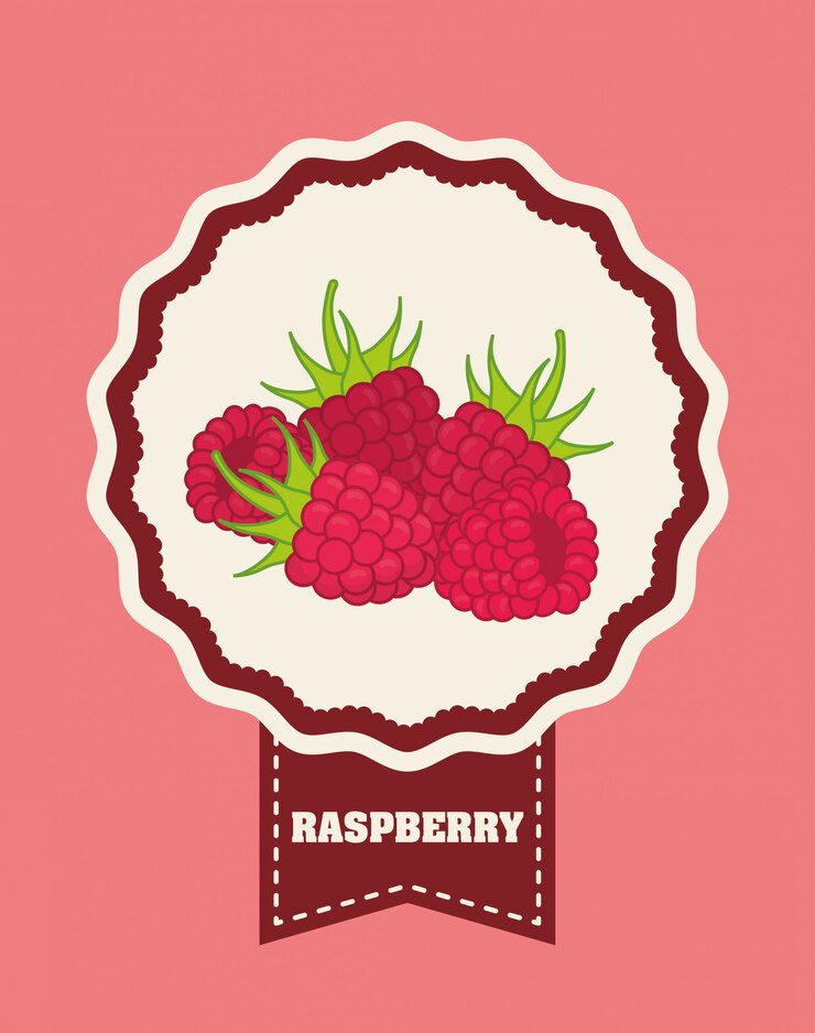 Vector fruit design 