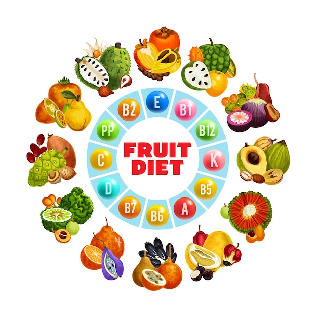 Vector fruit diet vitamins and berries exotic food