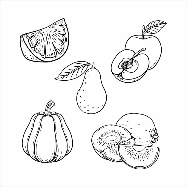 Fruit drawing 1710