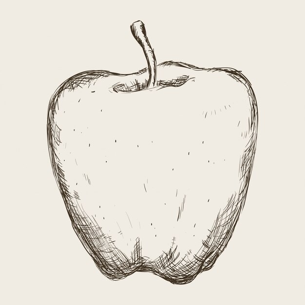 Vector fruit drawn design 