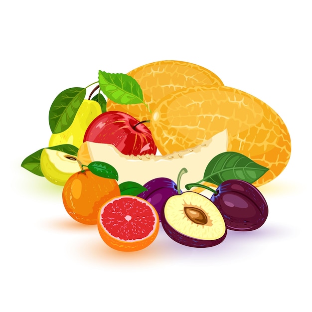 Vector fruit en bessen: appel, peer, mandarijn, mandarijn, grapefruit, pruim, meloen.
