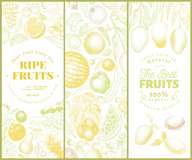 Fruit en bessen banner set