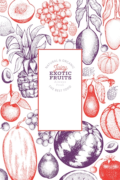 Vector fruit en bessen sjabloon. hand getekend tropische vruchten illustratie. gegraveerde stijlfruit. retro exotisch voedsel banner.