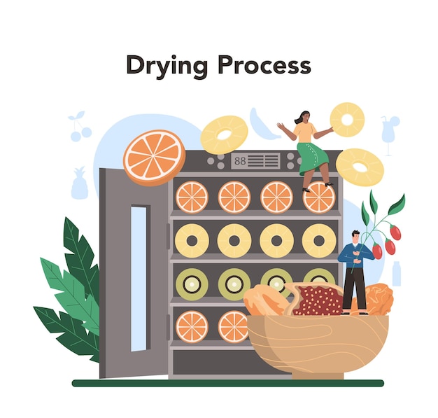 Fruit farming industry idea of agriculture and cultivation organic harvest selection dried fruits production isolated flat vector illustration