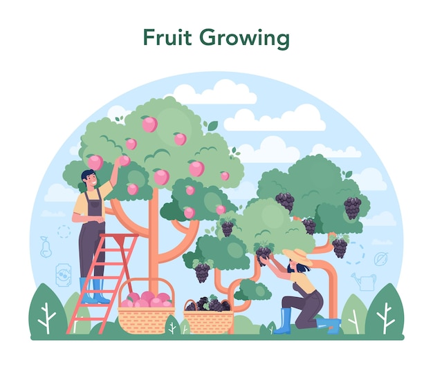 Industria frutticola e di trasformazione. idea di agricoltura e coltivazione. selezione del raccolto biologico. produzione di frutta secca, succhi e frutta sciroppata. illustrazione vettoriale piatto isolato