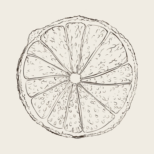 Vector fruit getekend ontwerp