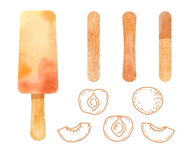 Fruit ice cream elements set Make by you summer sweetness Isolated white background Vector flat illustration