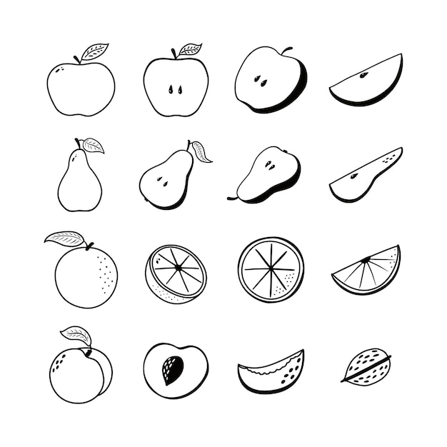 Fruit Icons Set. Collection of Hand Drawn fruit symbols for logo, sticker, banner,  menu, food package design and decoration