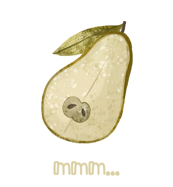 Fruit illustration of pear on white background Juicy pears Green pear and half of pear illustration