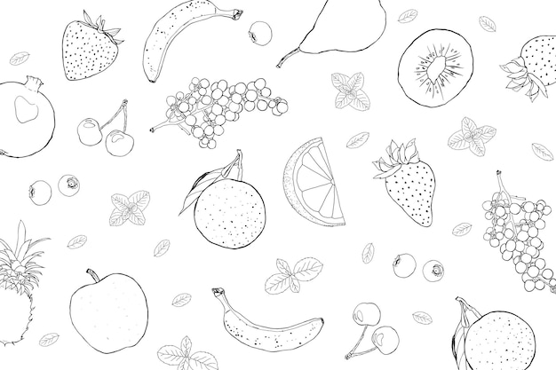 Fruit illustration sketch art black and white background