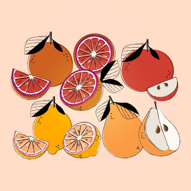 Fruit illustration