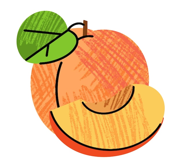 fruit illustrations simple illustration in abstract flat outline drawing style healthy food