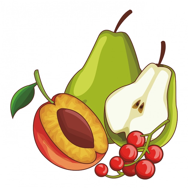 Fruit ingesteld pictogram