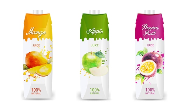 Vector fruit juice packaging collection isolated white background with gradient mesh, vector illustration