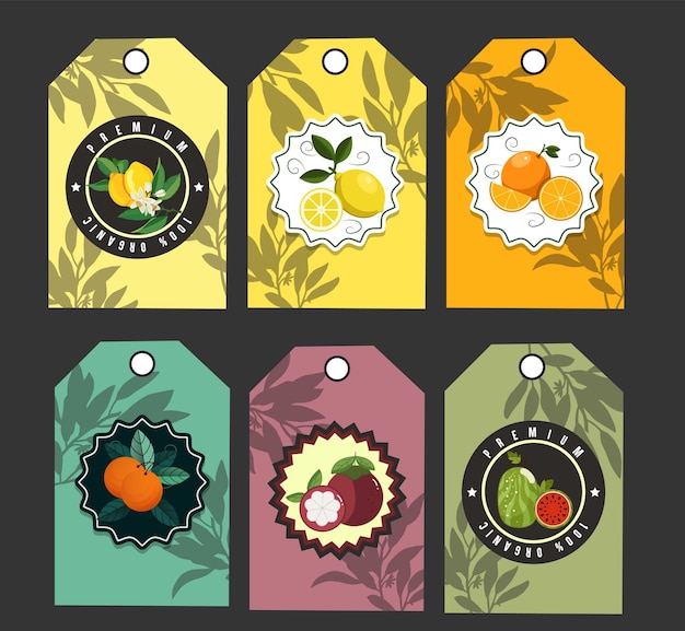 fruit labels templates elegant flat colorful decor